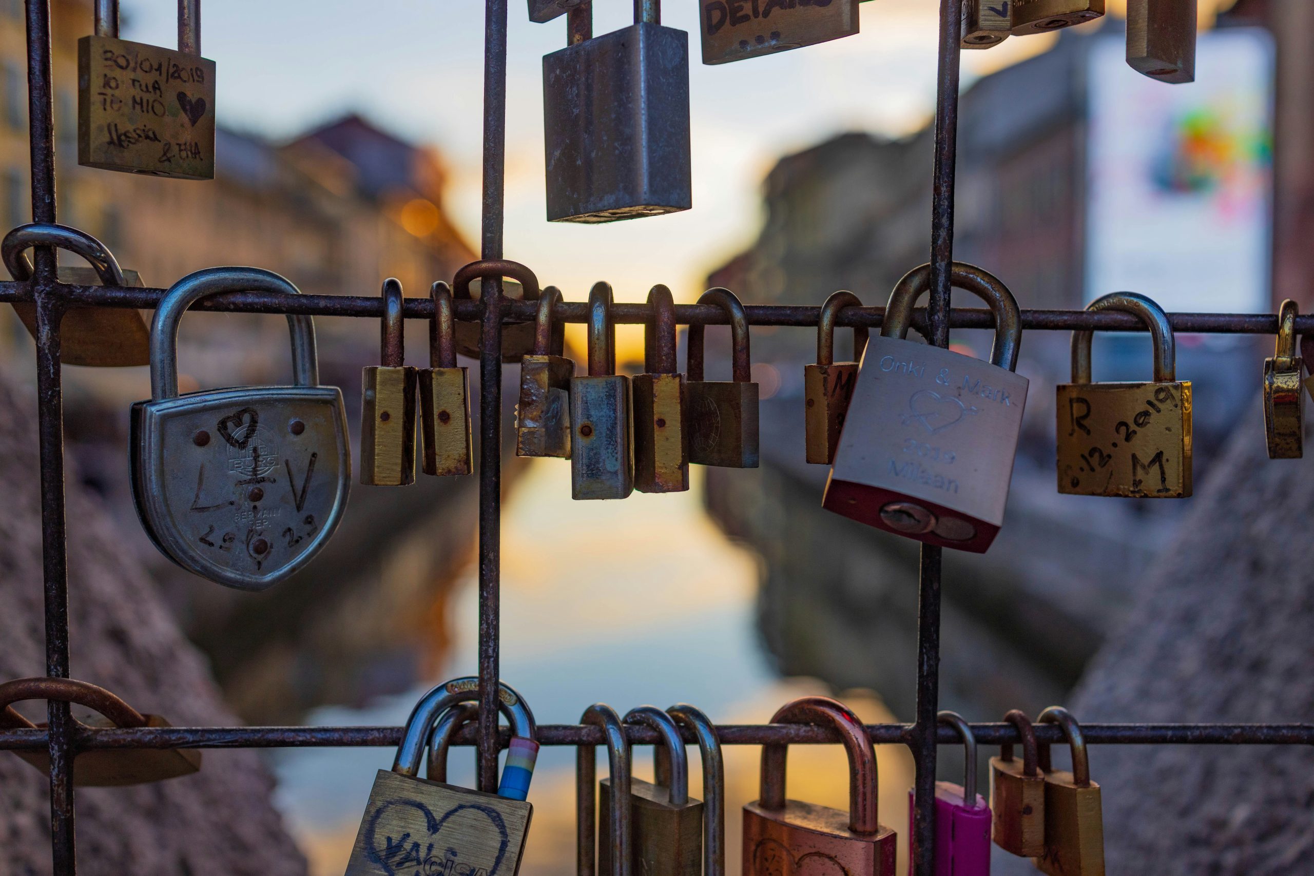 maria-cappelli-26YOSbRw65A-unsplash